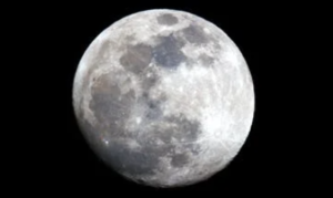 moonshot-thinking
