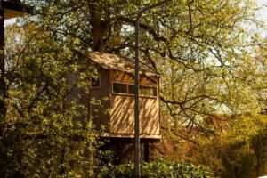 treehouse