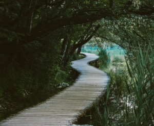 path-to-mastery