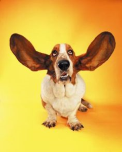 listening