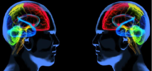 social-intelligence