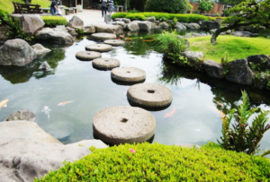 stepping-stones