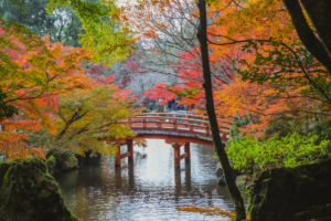 Bridge-to-Connection-and-Harmony